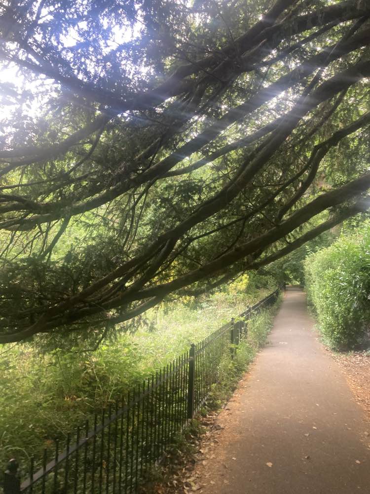 walking near me in Southover Grange Gardens in summer