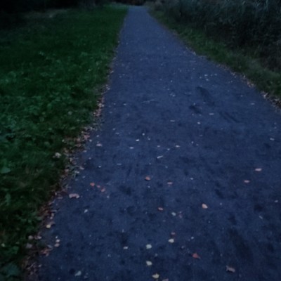 🤍🌱 Growing Everyday 👟🤍 🤍🌱 Growing Everyday 👟🤍 post image