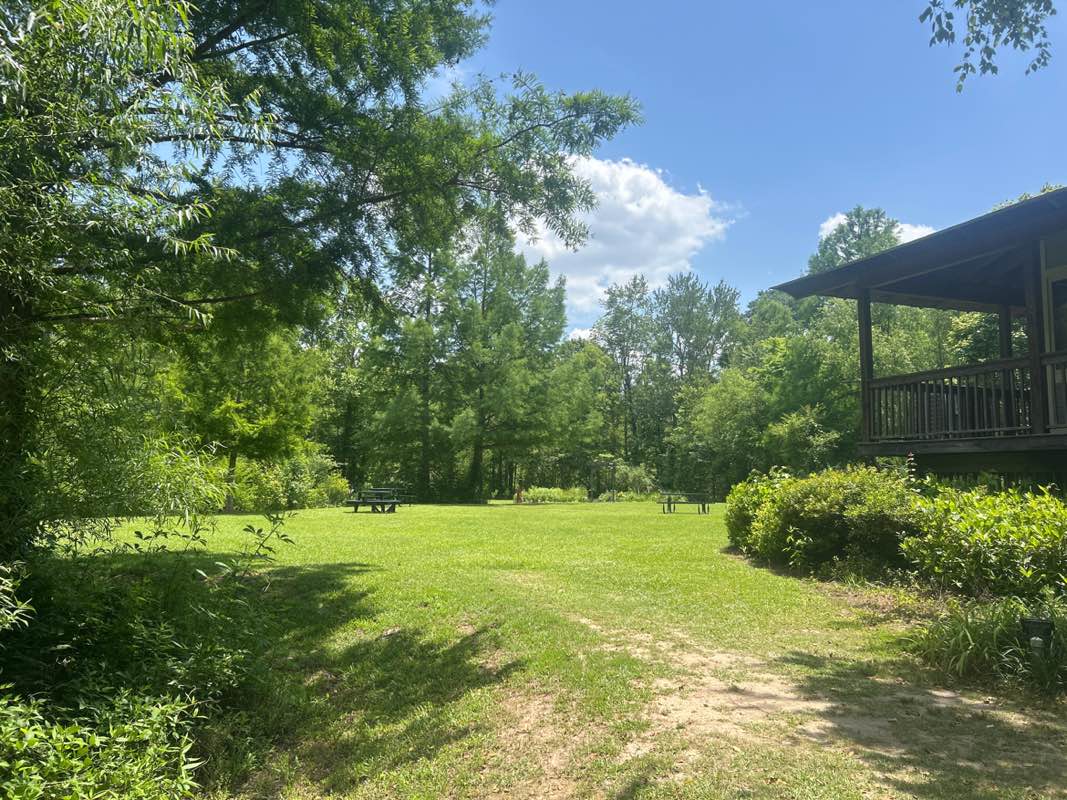 walking near me in Reed Creek in spring