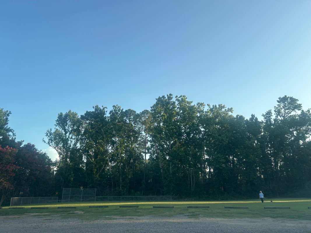 walking near me in Monteclair Park in summer