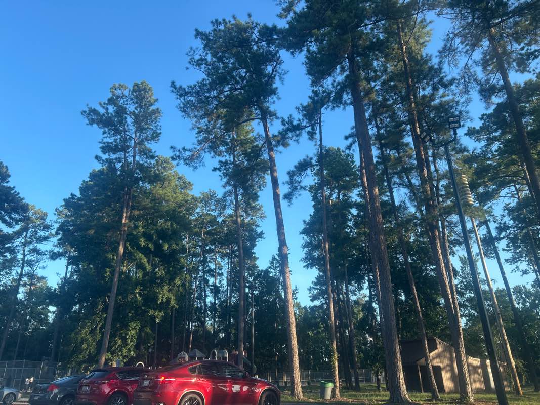 walking near me in Warren Road Park in autumn