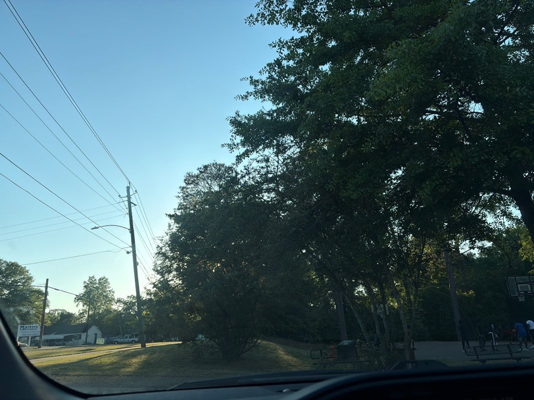 walking near me in Big Oak Park in spring