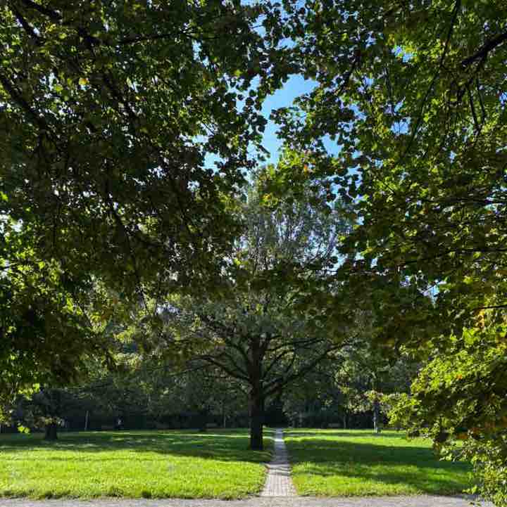 Нильсен Elena Repina post image