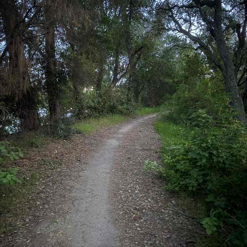 ✨️CALIFORNIA PACERS✨️ Dhongany post image