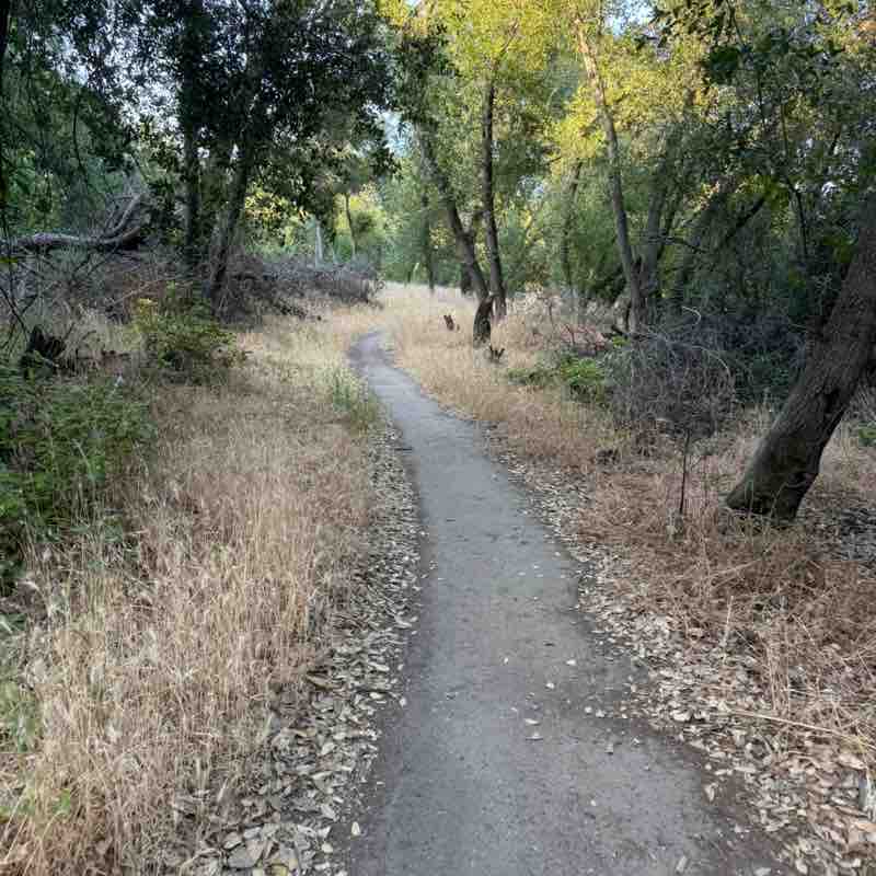 ✨️CALIFORNIA PACERS✨️ Dhongany post image