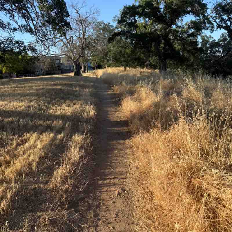 ✨️CALIFORNIA PACERS✨️ Dhongany post image