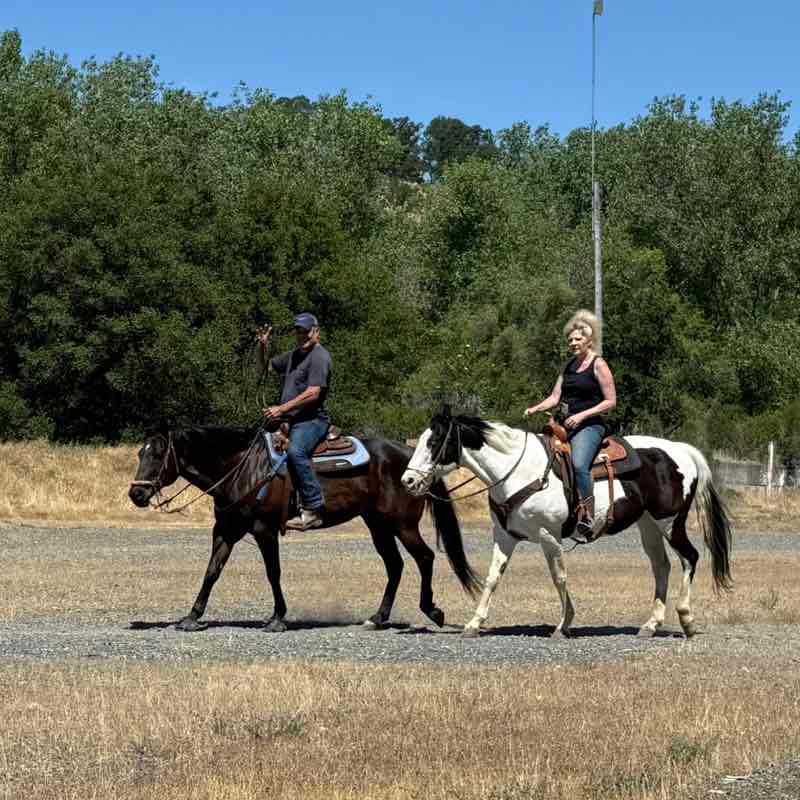 ✨️CALIFORNIA PACERS✨️ Dhongany post image