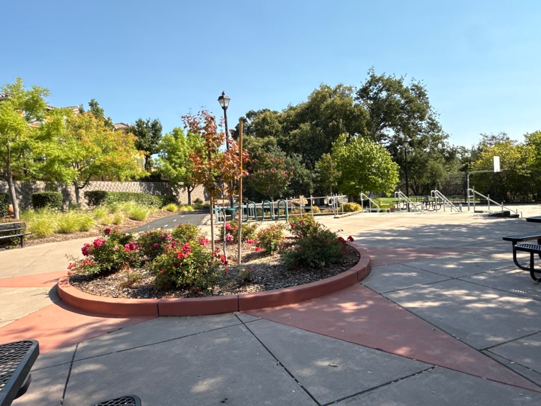 walking near me in John Pitches Park in autumn