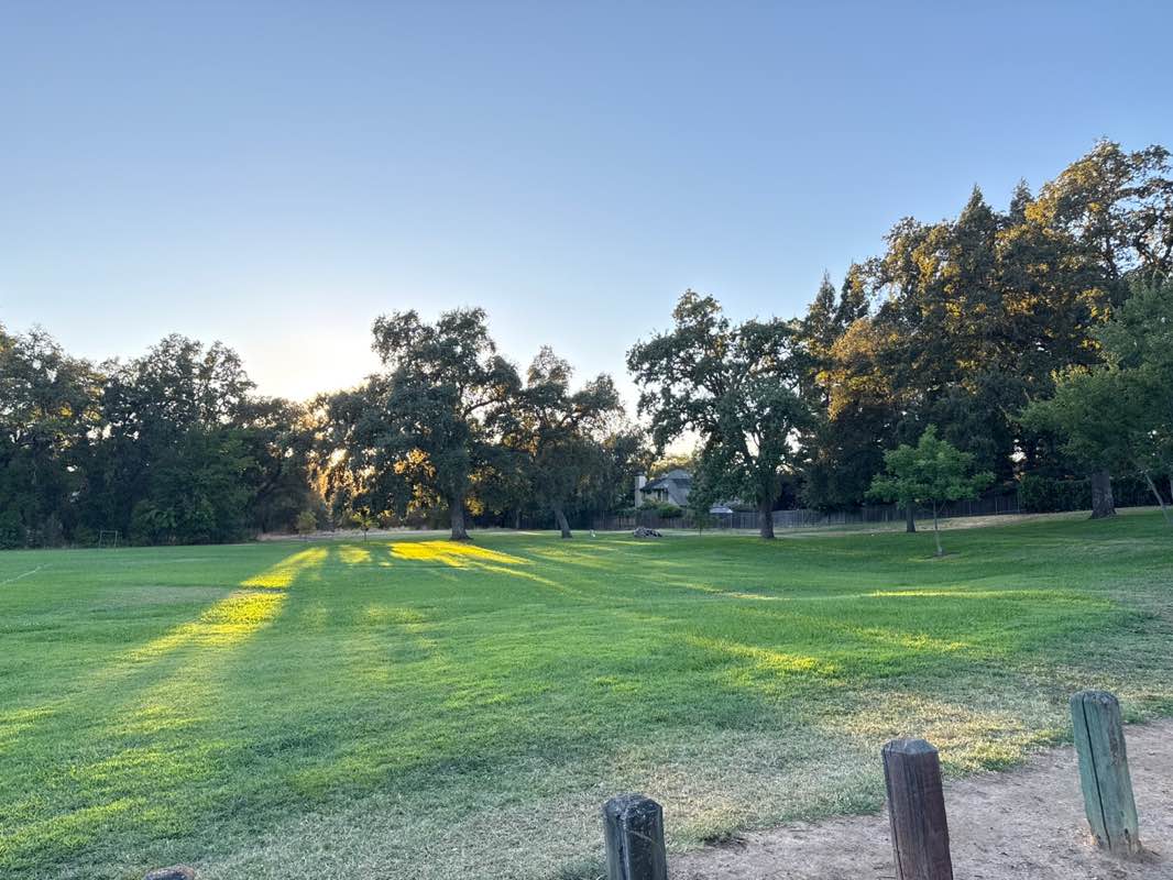 walking near me in Pecan Park in autumn