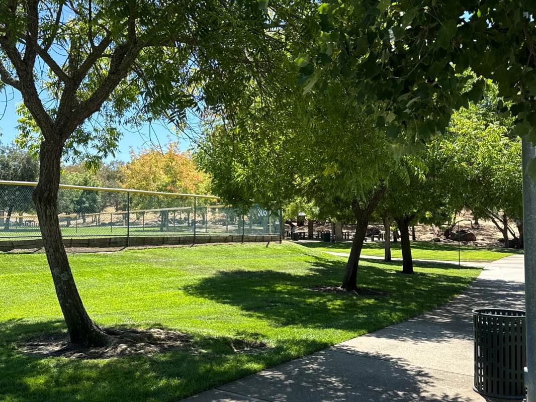 walking near me in Amos P Catlin Park in autumn