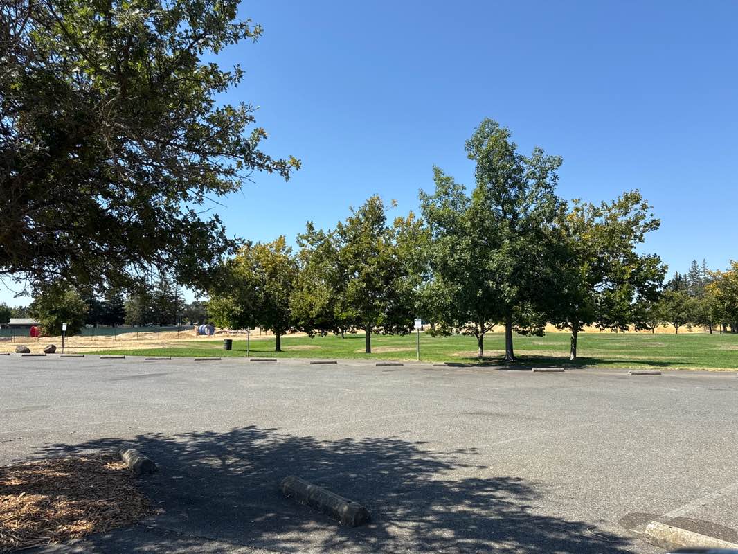 walking near me in Phoenix Park in autumn