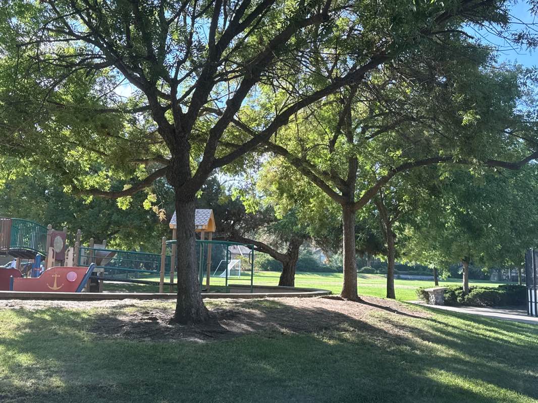 walking near me in Ernie Sheldon Park in autumn