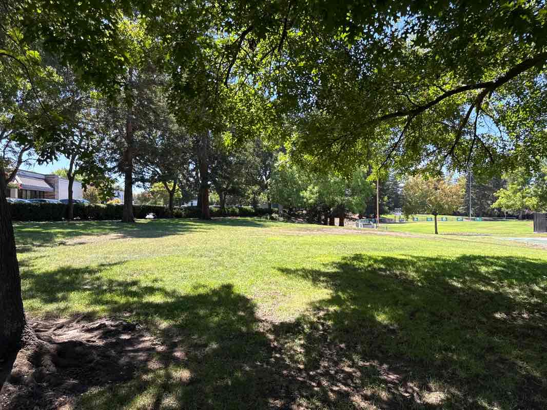 walking near me in Mann Family Park in autumn