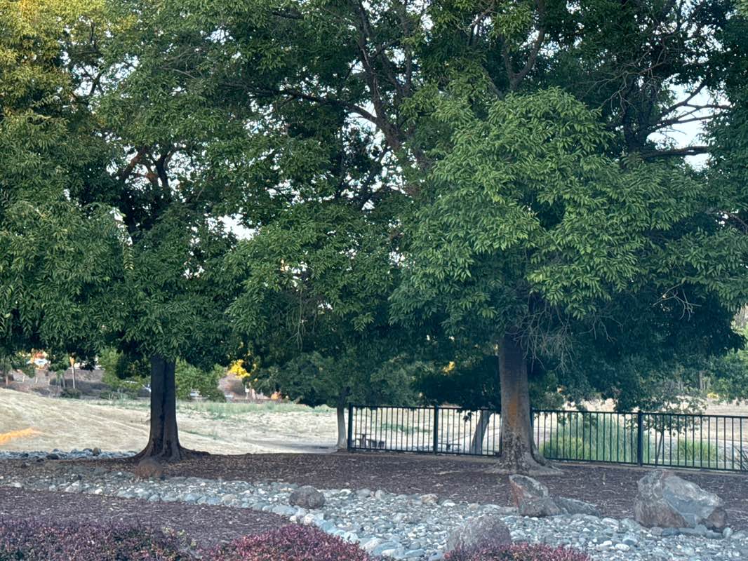 walking near me in Intel FM Pond in autumn