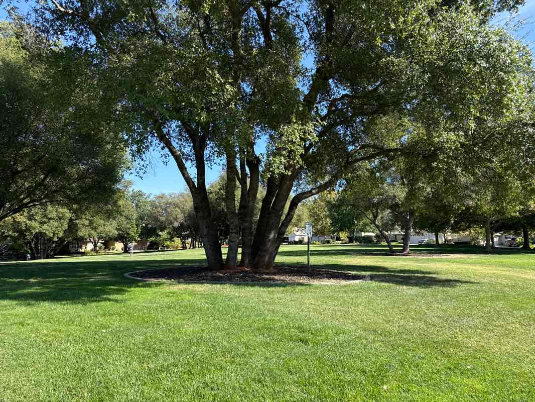 walking near me in Eastwood Park in autumn