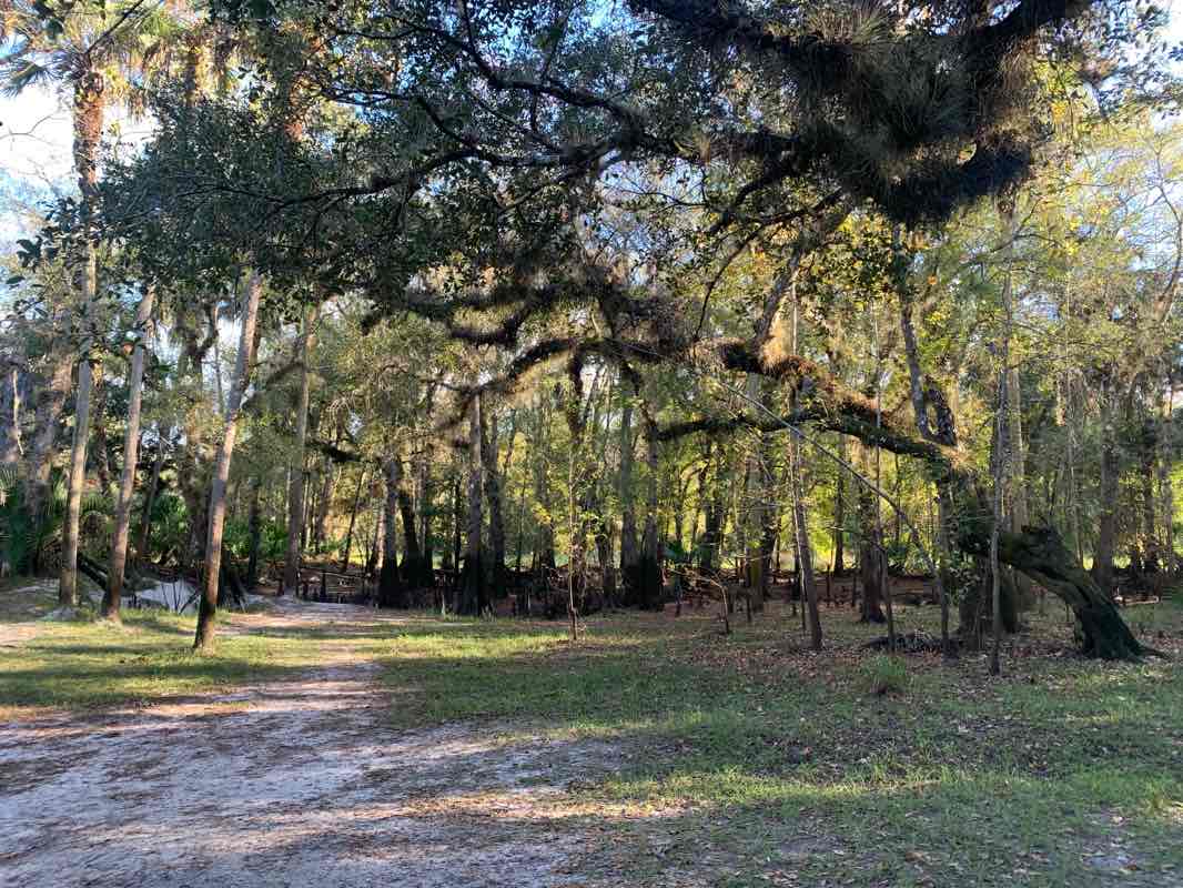 walking near me in Econ River Wilderness Area in autumn
