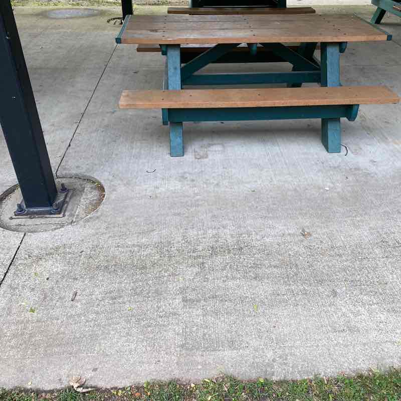 ☀️🐦_Sean_Shine_🐦☀️ post 1