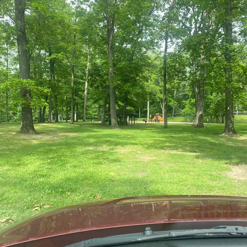 ☀️🐦_Sean_Shine_🐦☀️ post 1