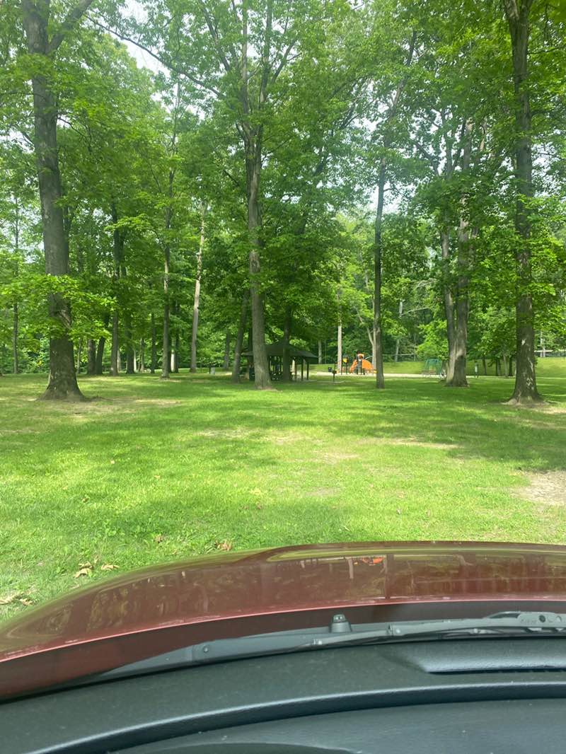 walking near me in Elywood Park in summer