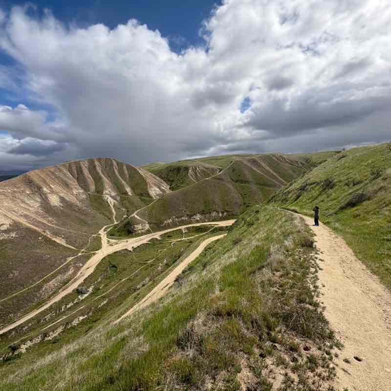 Lisette Marmolejo post 2