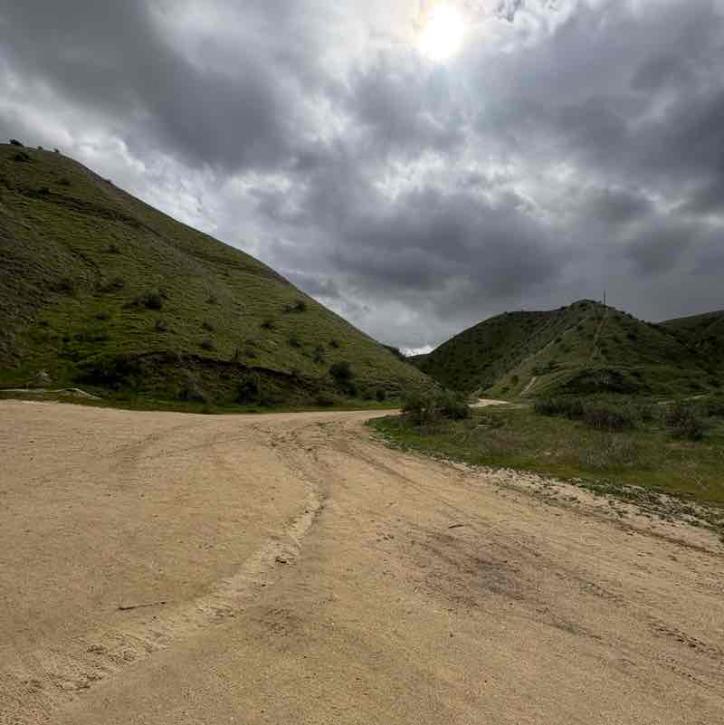 Lisette Marmolejo post 1