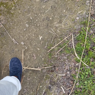 Aquí hay Bokerones Vega José post image