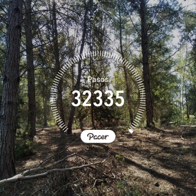 Andaluces de Cádiz 🇳🇬 Vega José post image