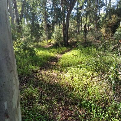 Andaluces de Cádiz 🇳🇬 Vega José post image