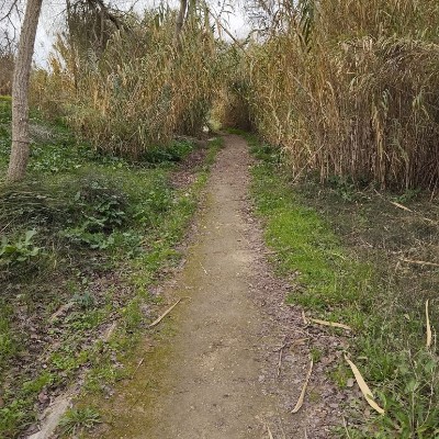 Aquí hay Bokerones Vega José post image