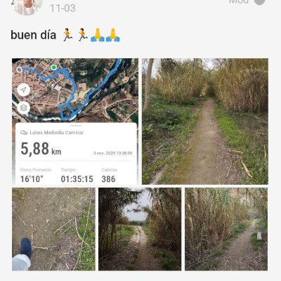 Aquí hay Bokerones Vega José post image