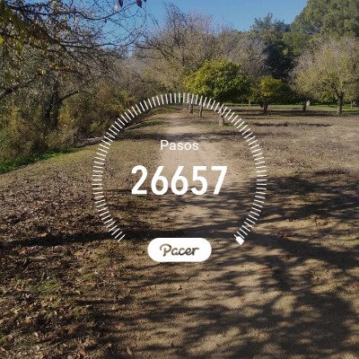 Andaluces de Cádiz 🇳🇬 Vega José post image