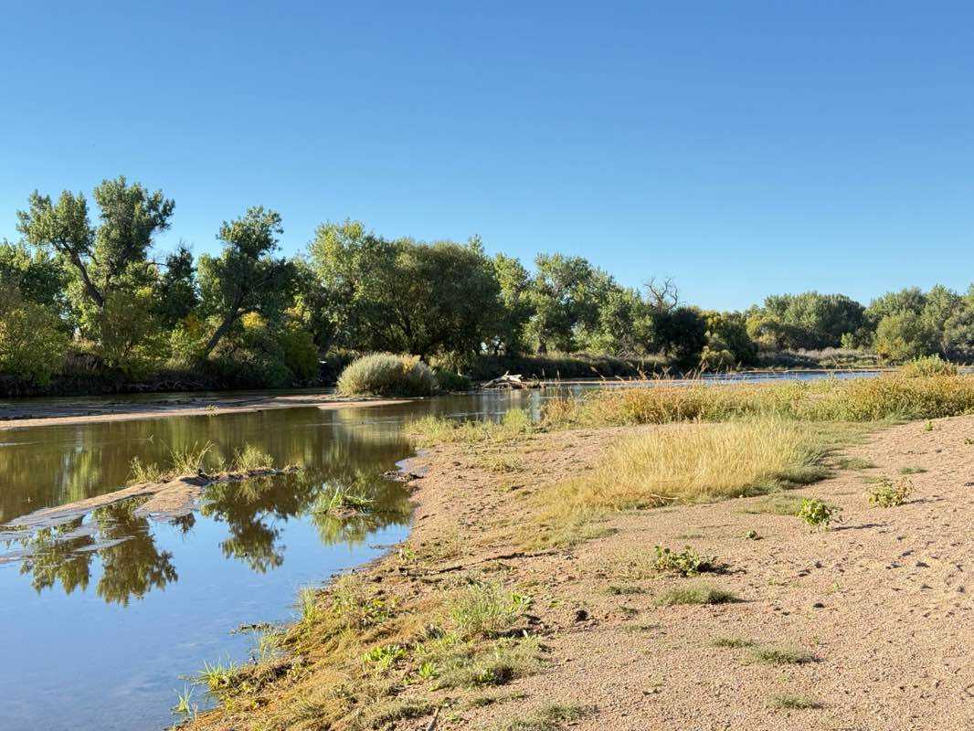 walking near me in Evans City Park in autumn