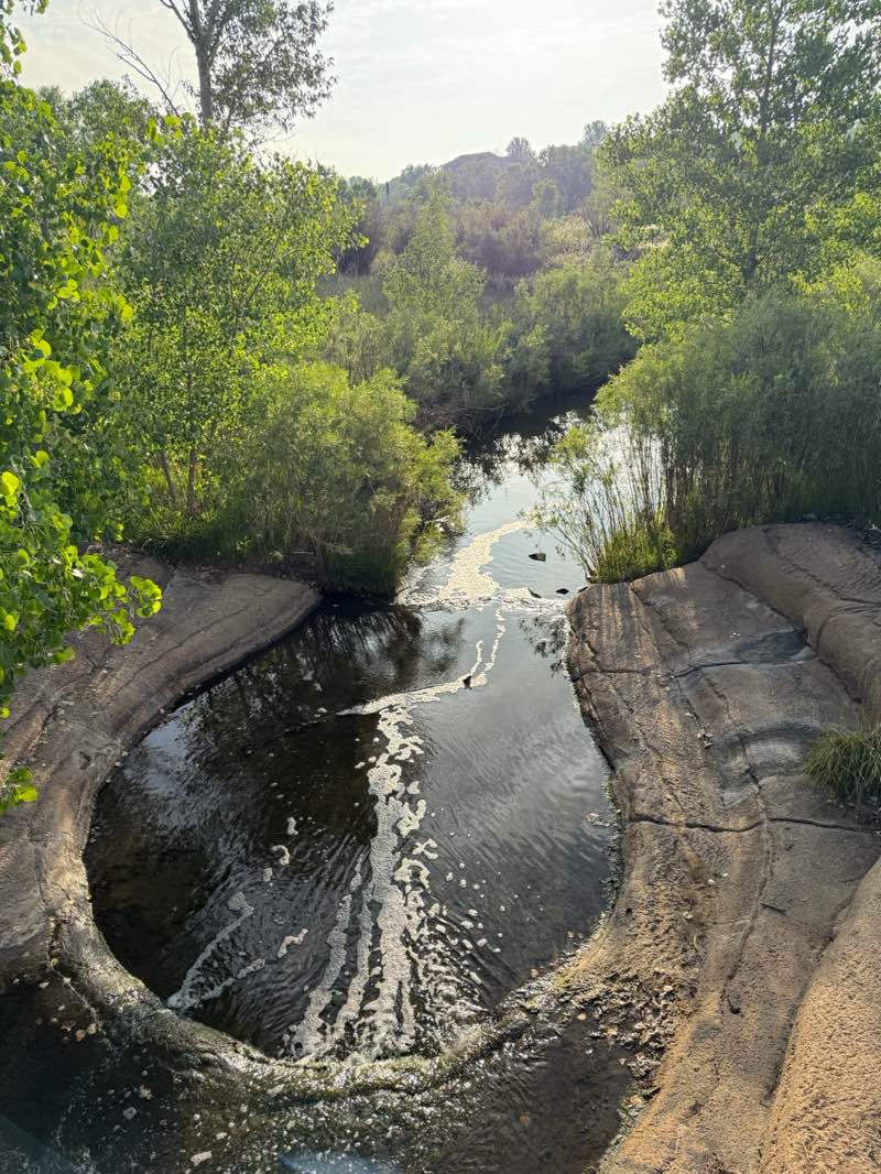 walking near me in Margaret W. Carpenter Park and Open Space in summer
