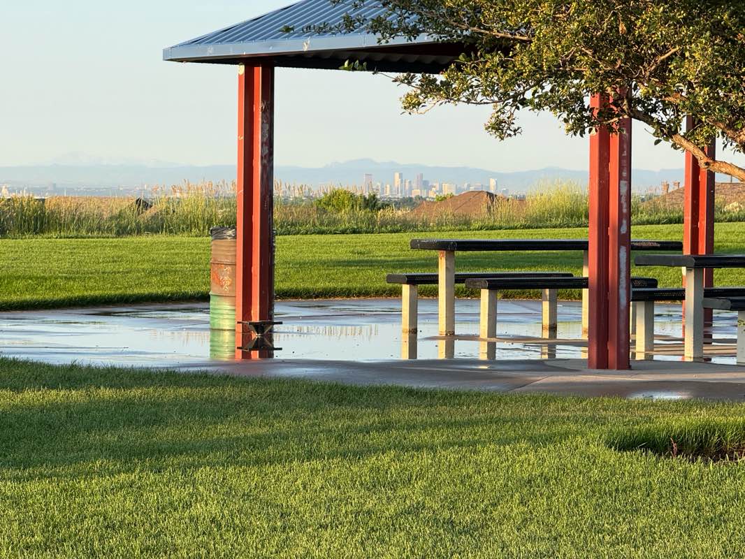 walking near me in Homestead Hills Park in summer