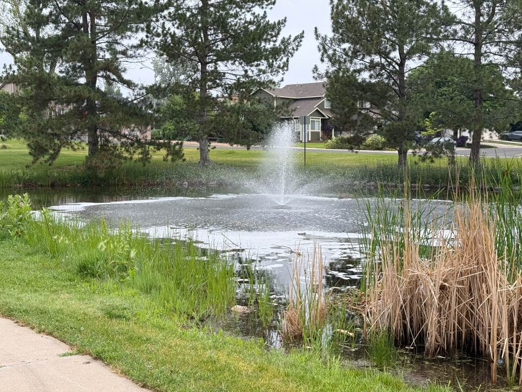 walking near me in Park Village in summer