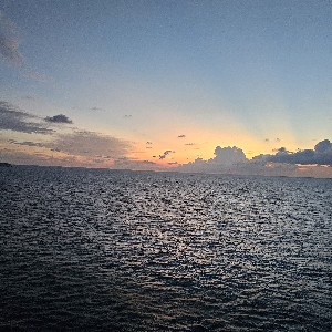 Mariana Jones profile