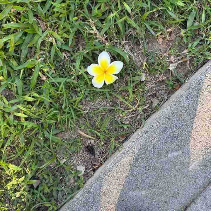 怕胖就跑團 小媜 post image