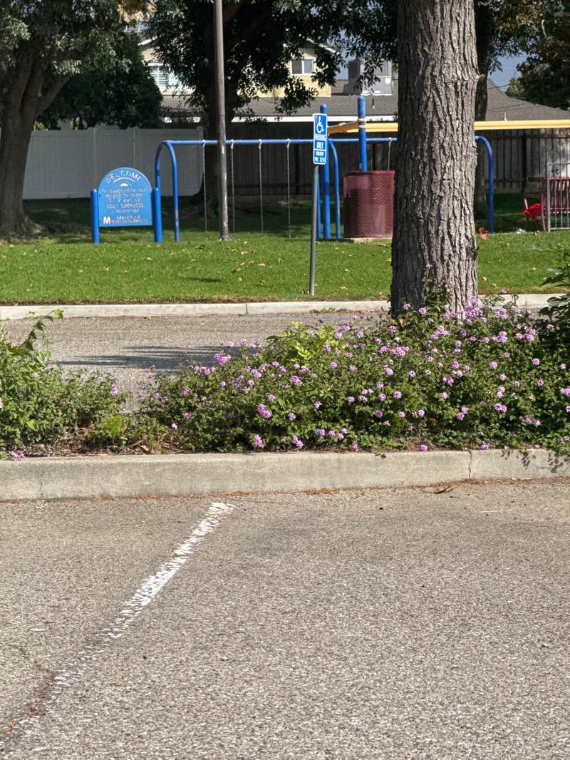 walking near me in Magnolia Park in autumn