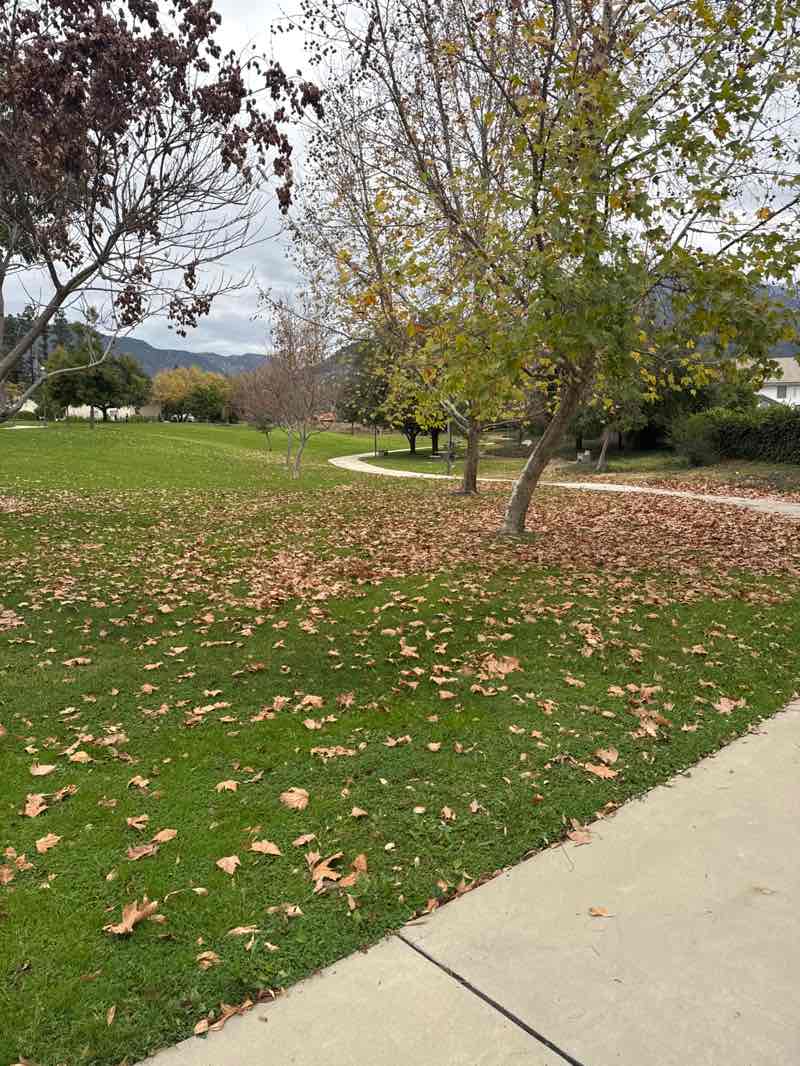 walking near me in McCarthy Park in winter