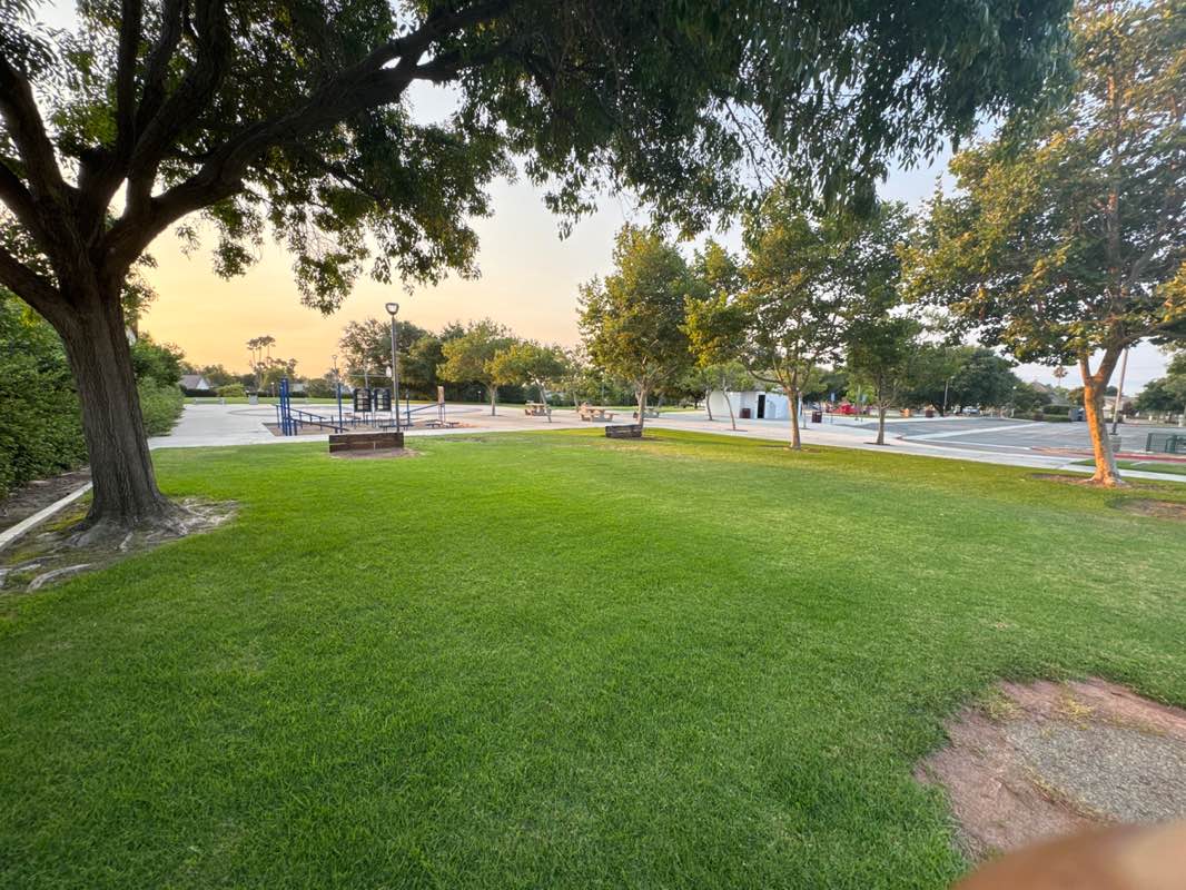 walking near me in McCarthy Park in autumn