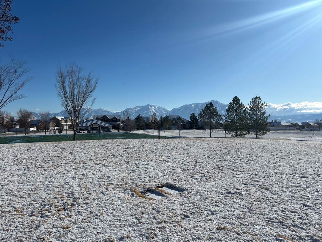 walking near me in Morning Cloak Park in spring