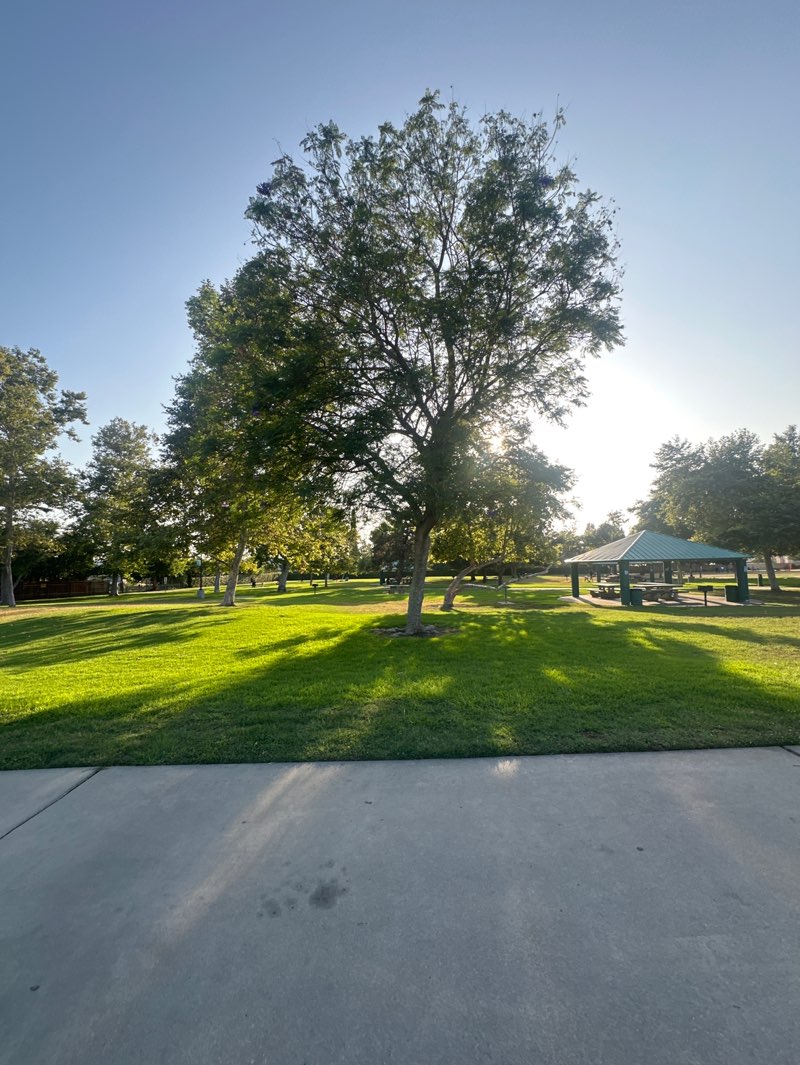 walking near me in Sunshine Park in summer