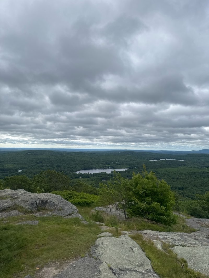 walking near me in Watatic Mountain Wildlife Sanctuary in summer