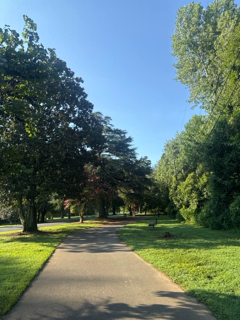walking near me in Little Sugar Creek Greenway in autumn