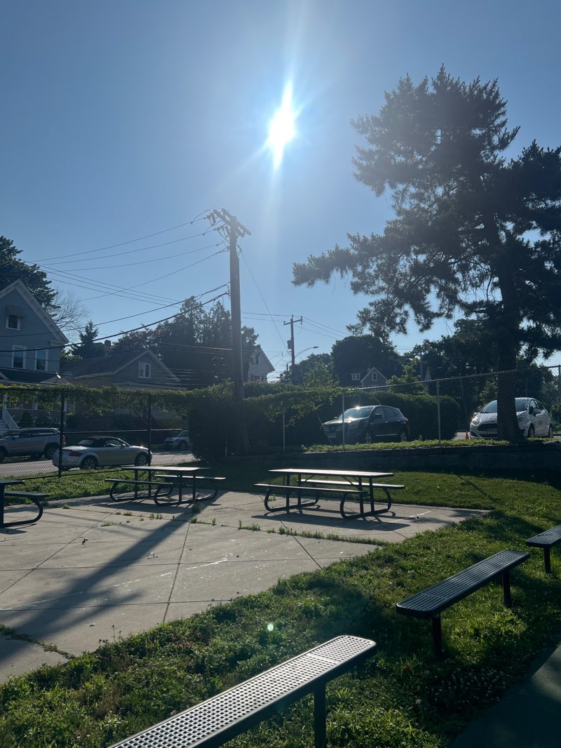 walking near me in Bartlett Park in summer