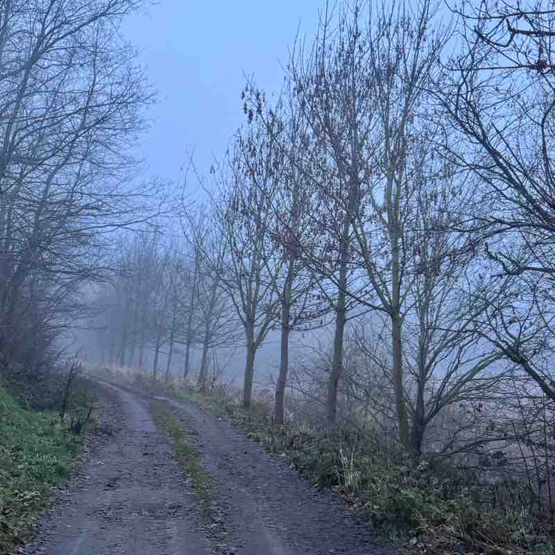 10000 kroków po pięćdziesiątce👍 Hanna post image