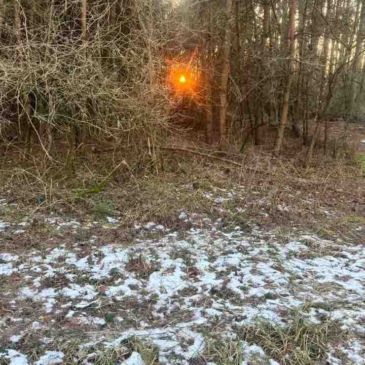 10000 kroków po pięćdziesiątce👍 Hanna post image