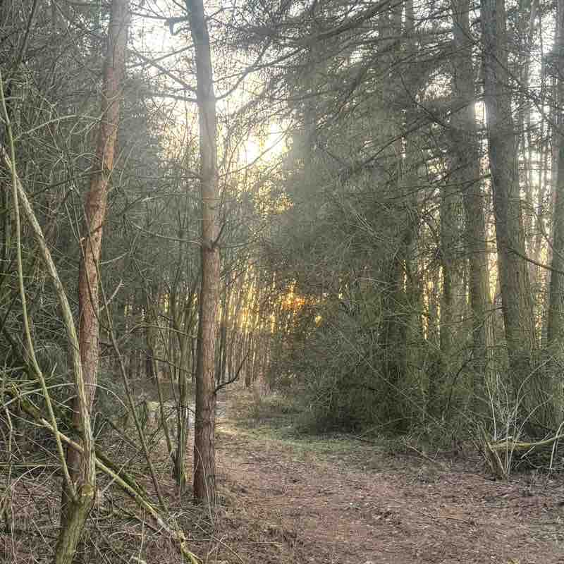 10000 kroków po pięćdziesiątce👍 Hanna post image