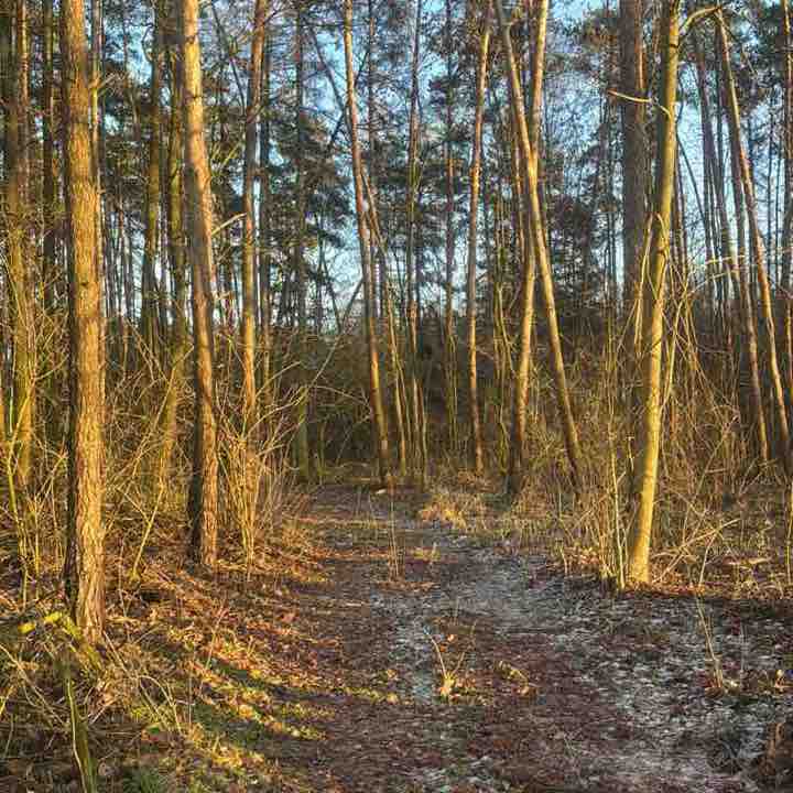 10000 kroków po pięćdziesiątce👍 Hanna post image