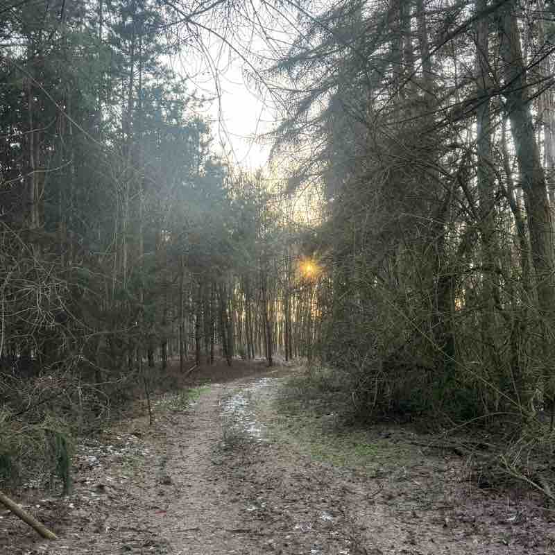 10000 kroków po pięćdziesiątce👍 Hanna post image